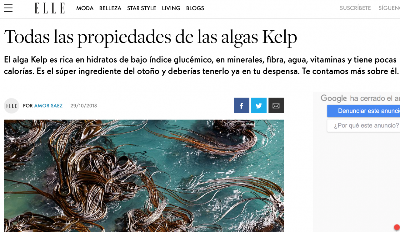 Todas las propiedades de las algas Kelp