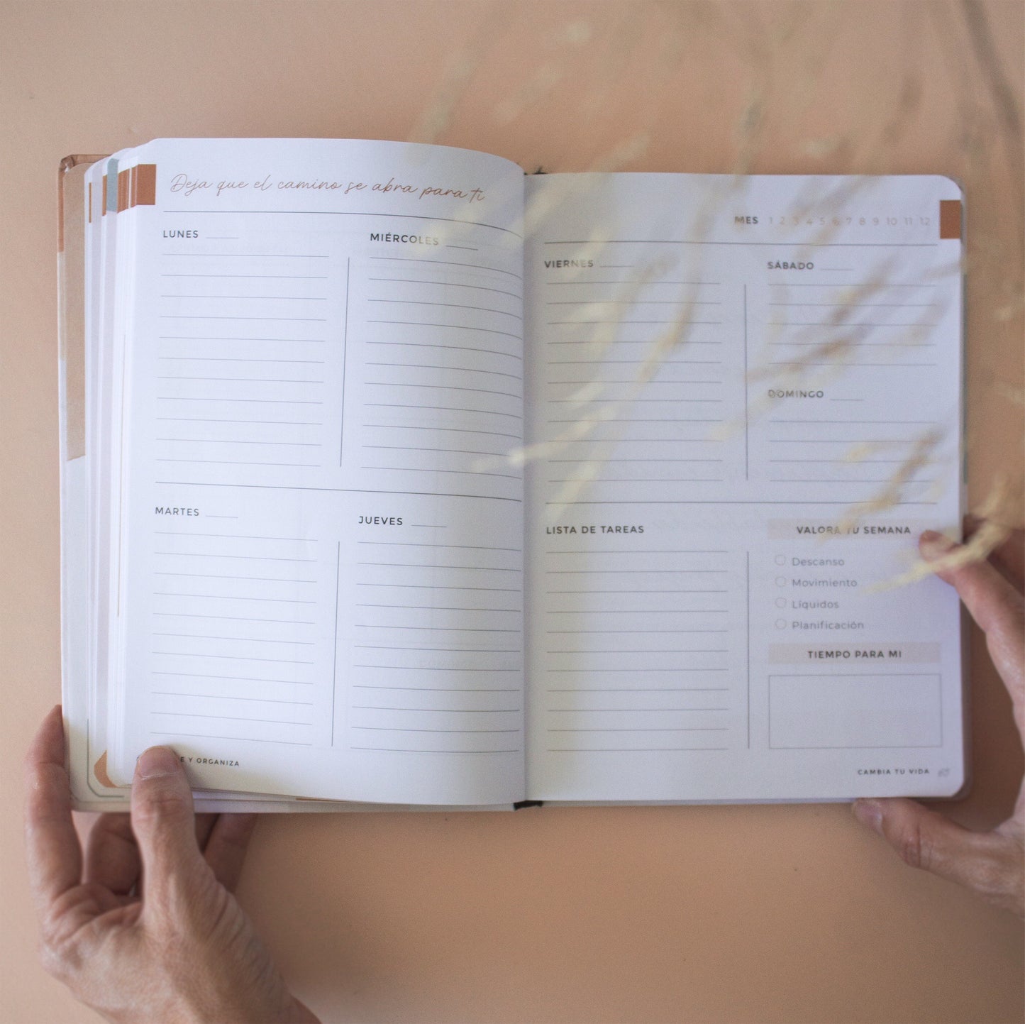Planner Nutre y Organiza