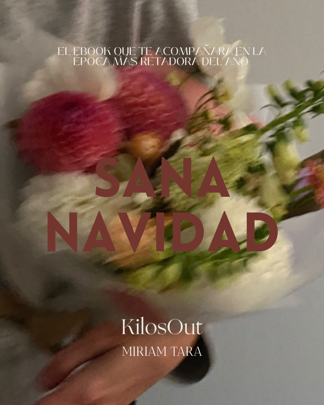 EBOOK SANA NAVIDAD