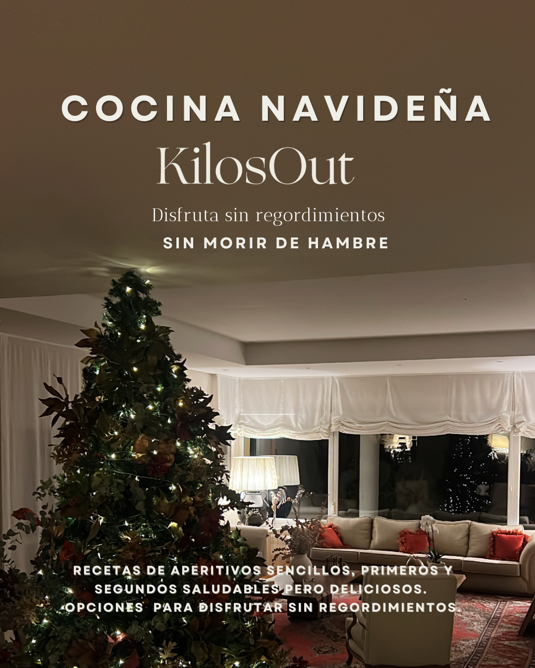 EBOOK COCINA NAVIDEÑA